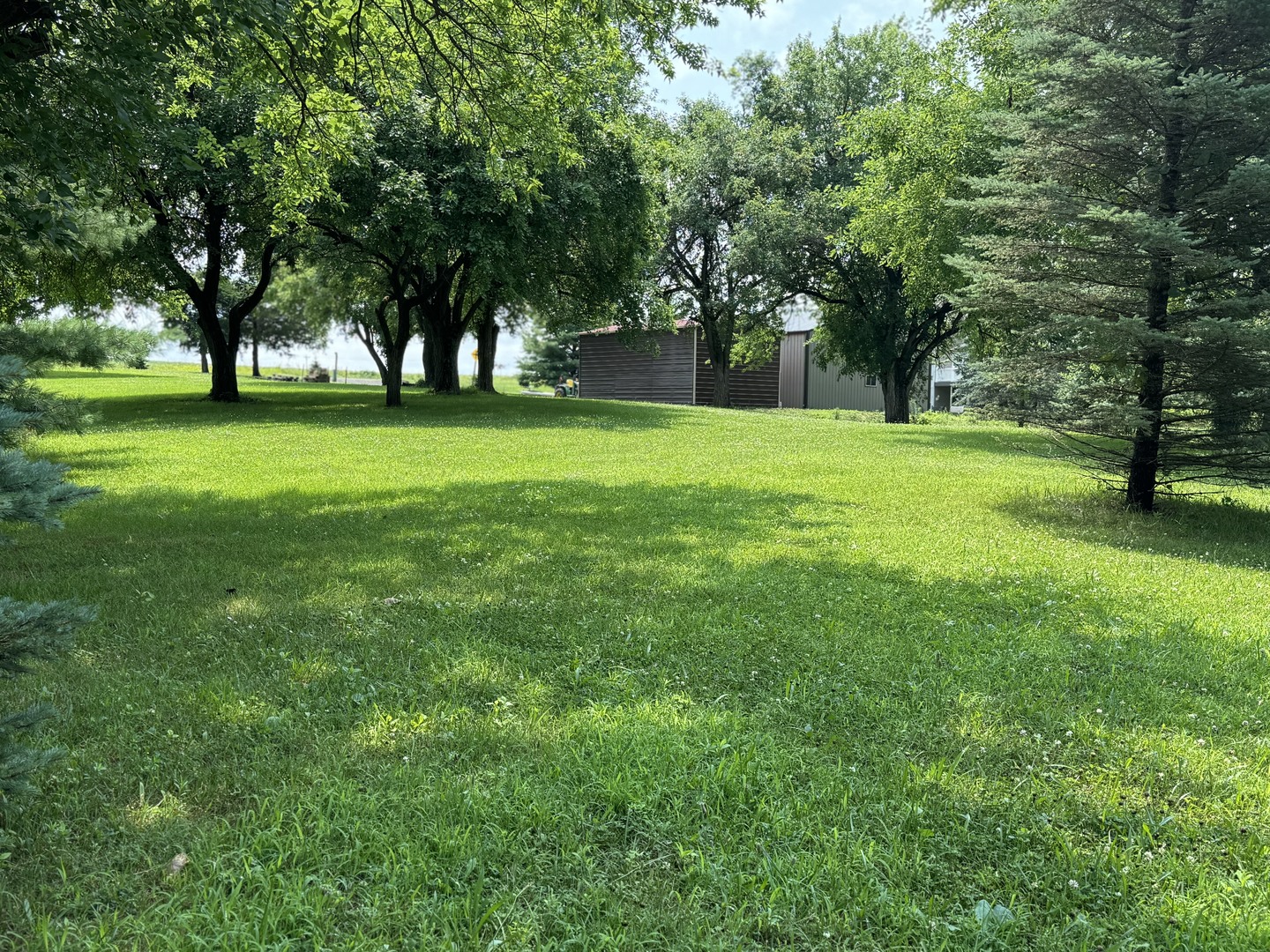 561 County Road 2000 East Secor, IL 61771 - Photo 7 of 37 a view of green field
