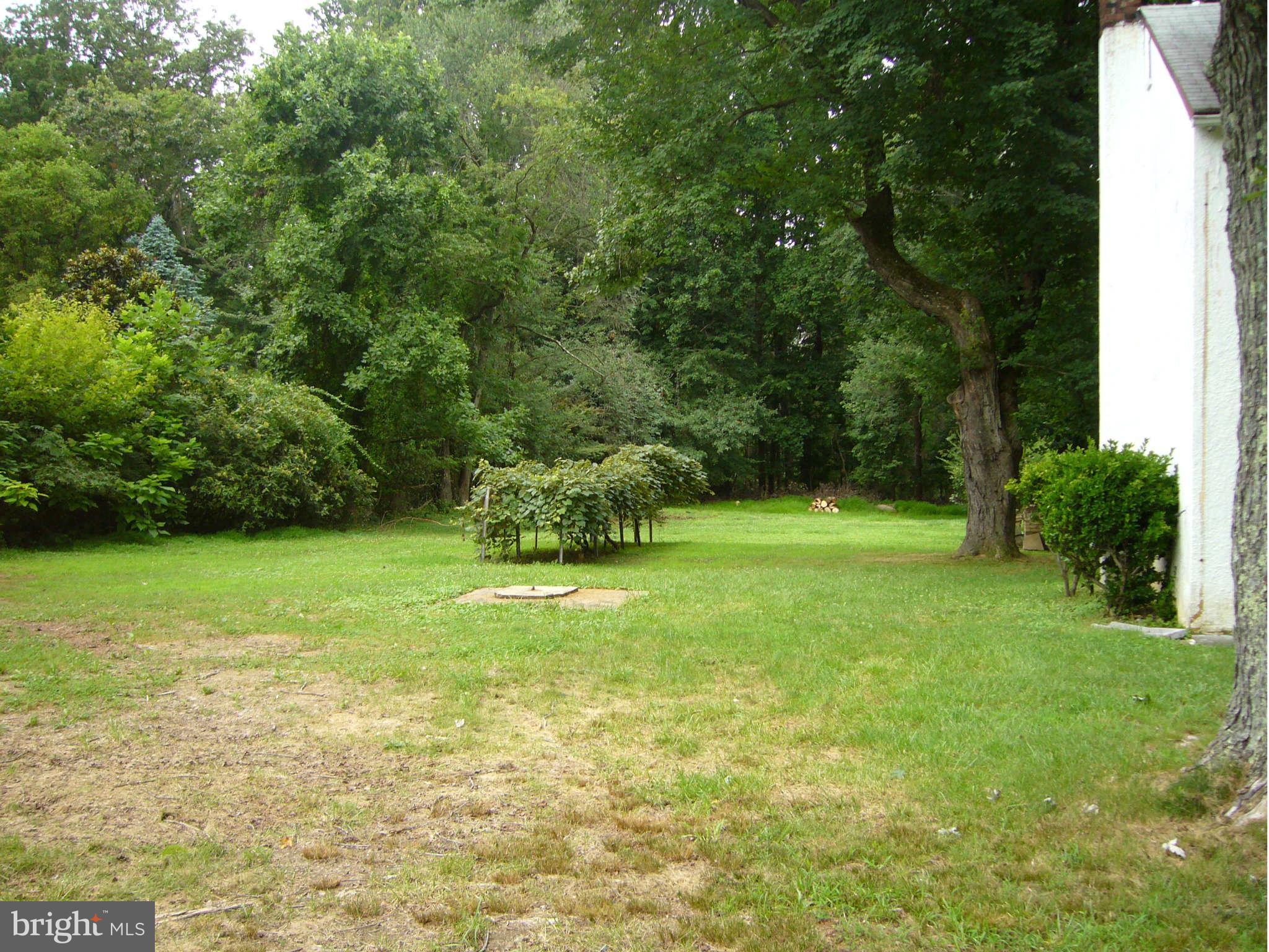 15704 Thompson Road Silver Spring, MD 20905 - Photo 3 of 9 a backyard of a house with plants and large trees