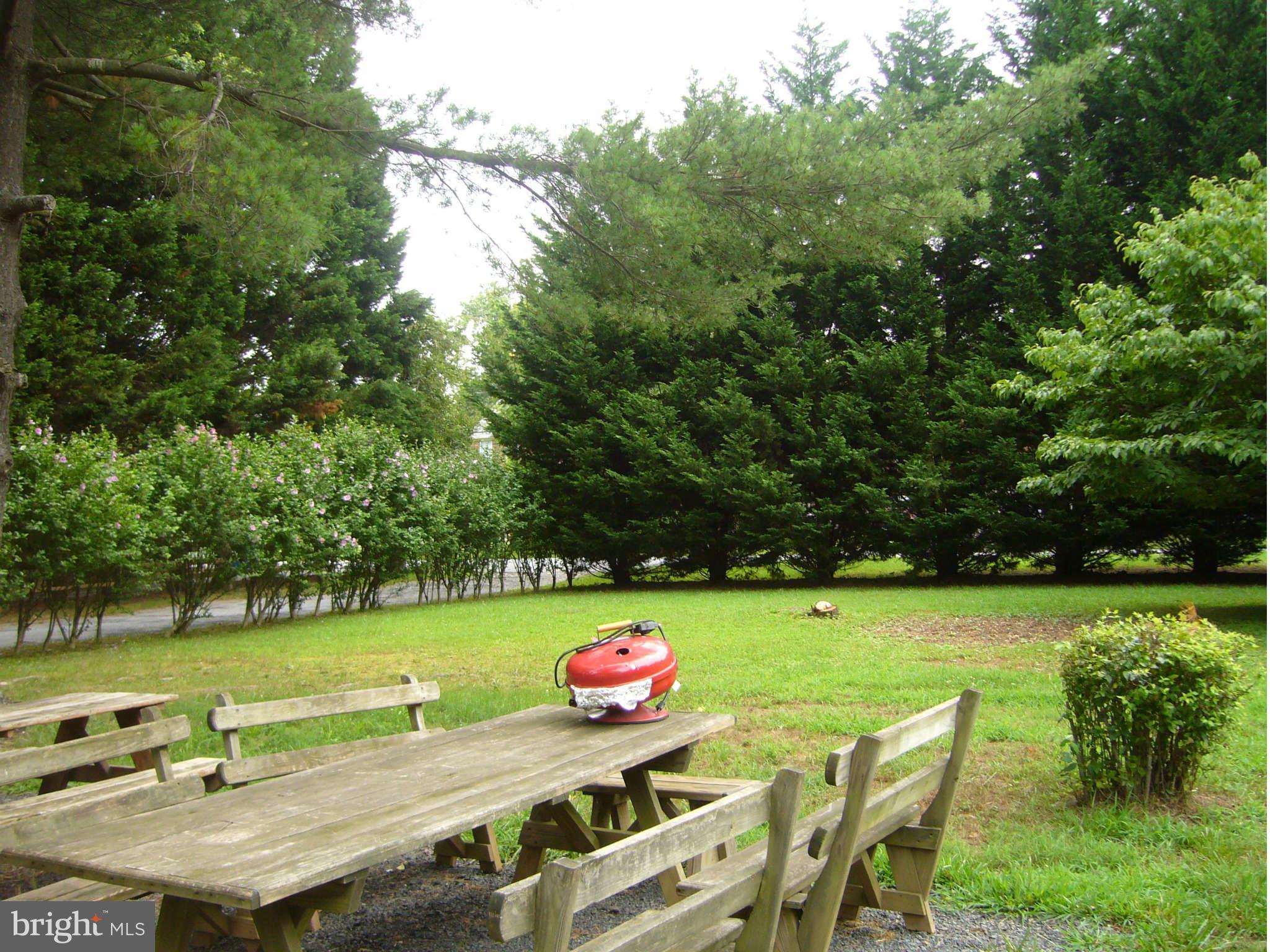 15704 Thompson Road Silver Spring, MD 20905 - Photo 4 of 9 an outdoor space with furniture and garden