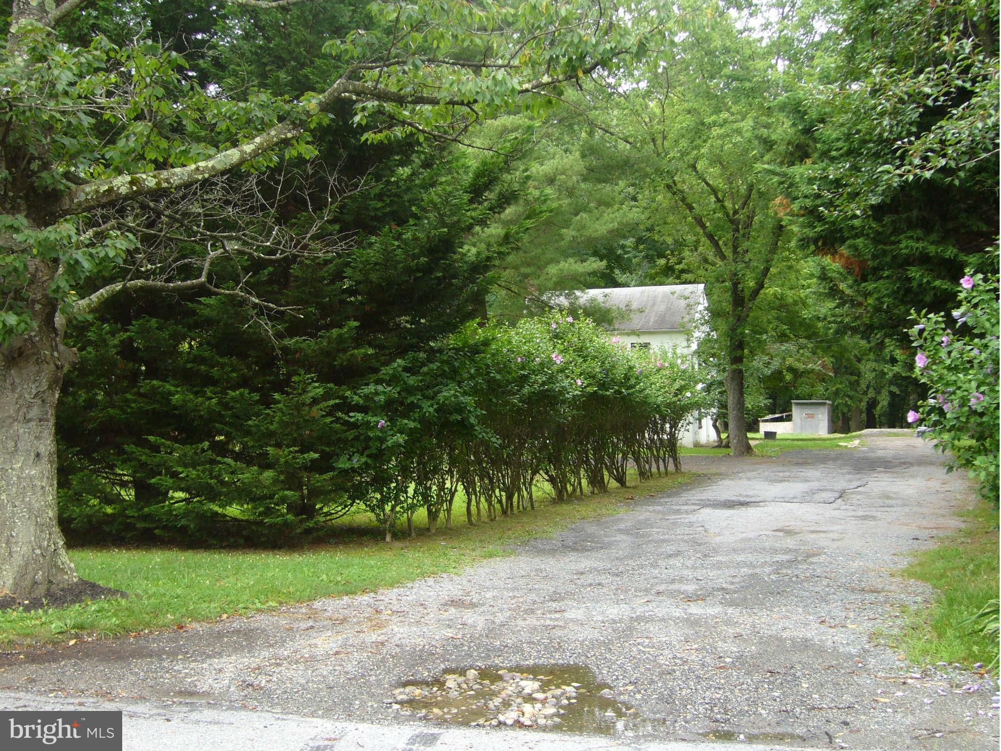 15704 Thompson Road Silver Spring, MD 20905 - Photo 7 of 9 a pathway of a yard