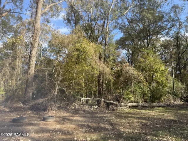 $32,000 | Lot 28 Water Shed Road, Ville Platte, LA 70586