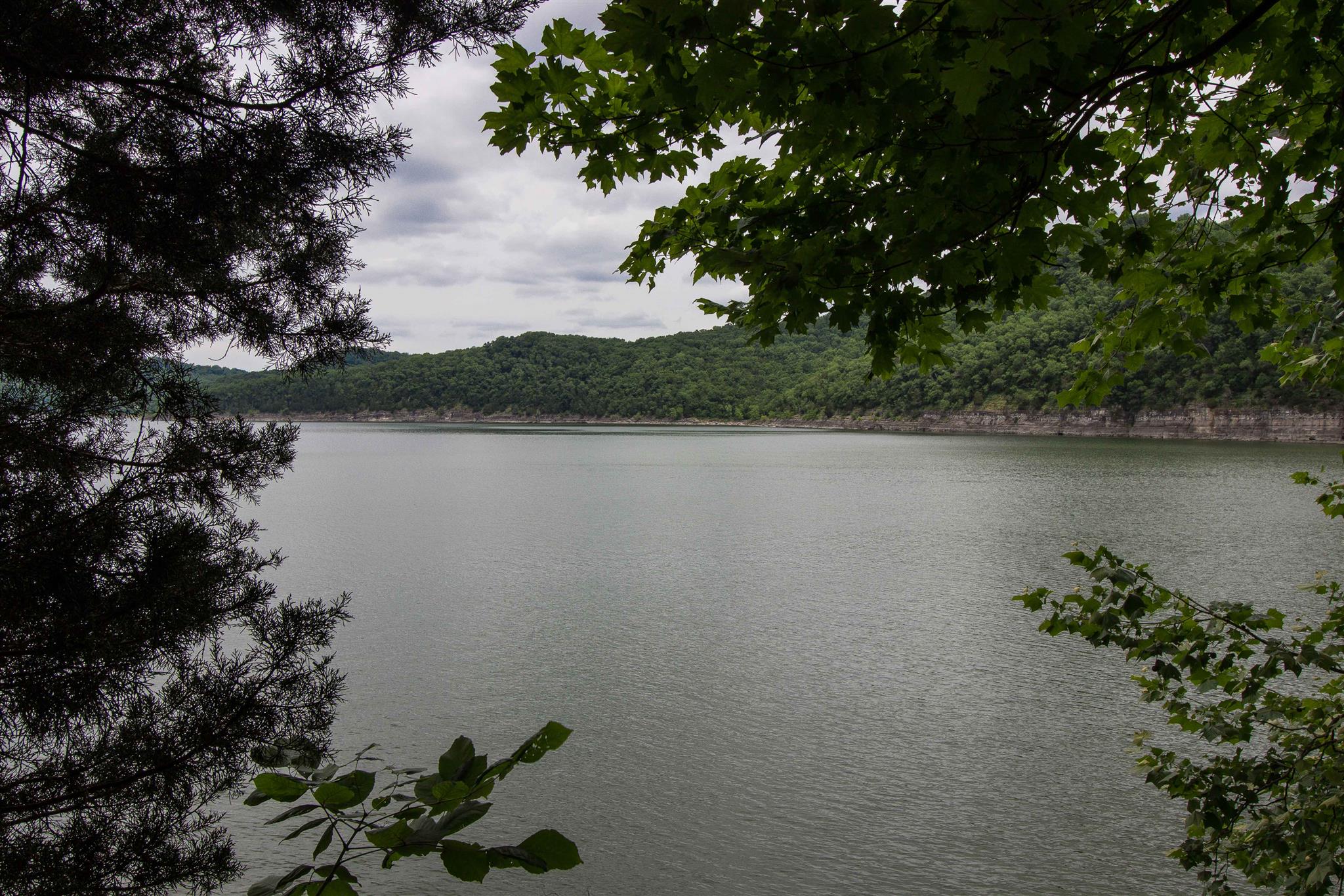 975 Black Berry Hill Road Silver Point, TN 38582 - Photo 2 of 21 Gallery Image 2
