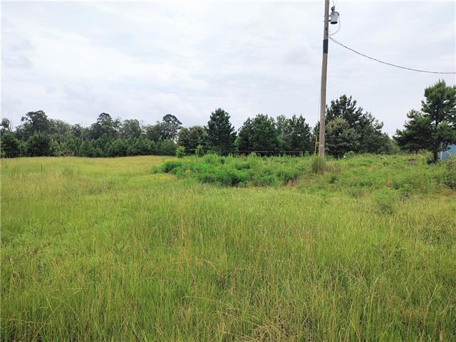 Tbd Posey Road Natchitoches, LA 71457 - Photo 6 of 10