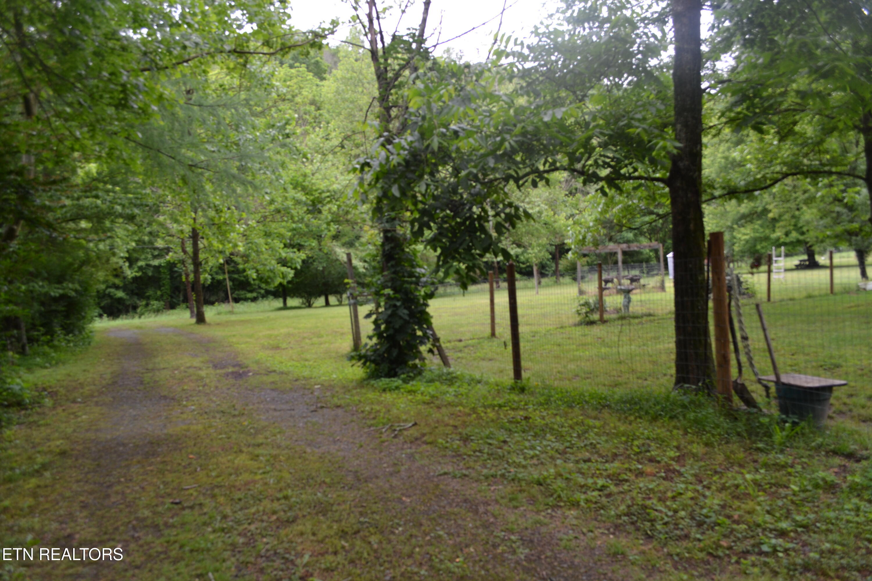1557 Add Stafford Road Hilham, TN 38568 - Photo 33 of 40 DSC_0055