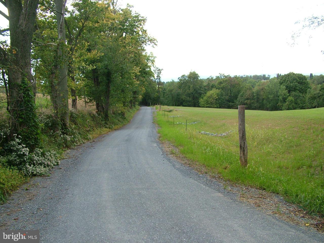 3526 Sigler Road Jefferson, MD 21755 - Photo 4 of 5 Sigler Road at lot entrance
