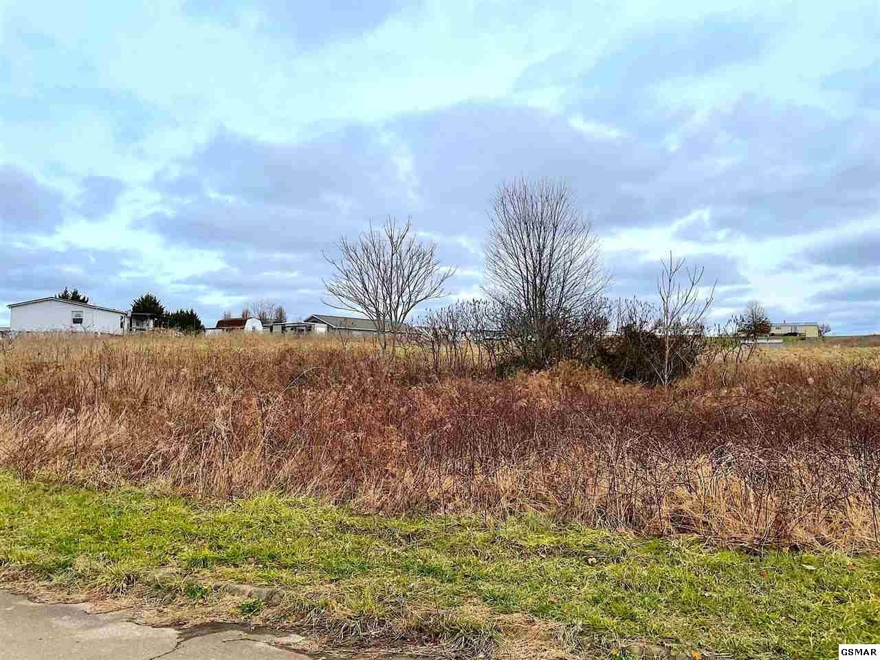 60 Ebenezer Loop Chuckey, TN 37641 - Photo 6 of 8