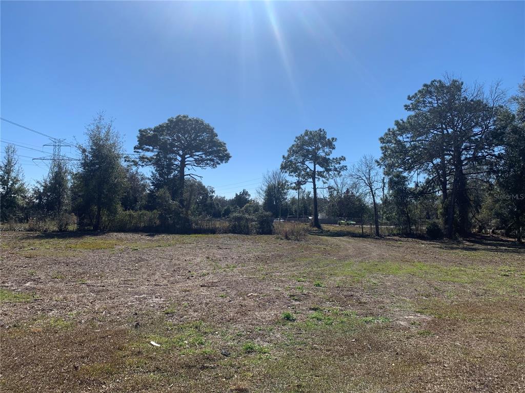 Shady Hills Spring Hill Spring Hill, FL 34610 - Photo 1 of 1 Gallery Image 1