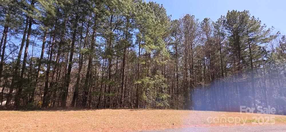 210 Ridge Top Drive Connelly Springs, NC 28612 - Photo 2 of 13 a view of wooden fence and trees