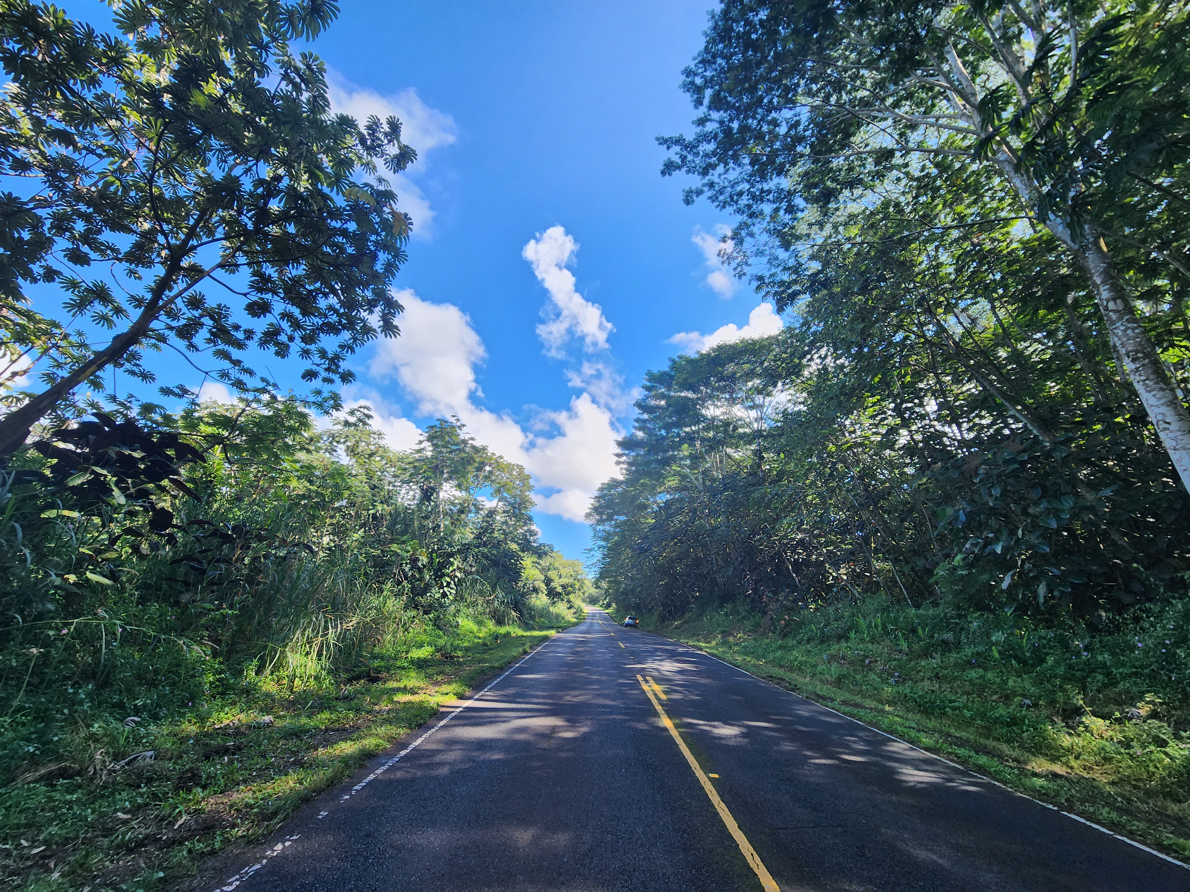 10 Pahoa Kapoho Road Pahoa, HI 96778 - Photo 6 of 12 a view of a street with a yard