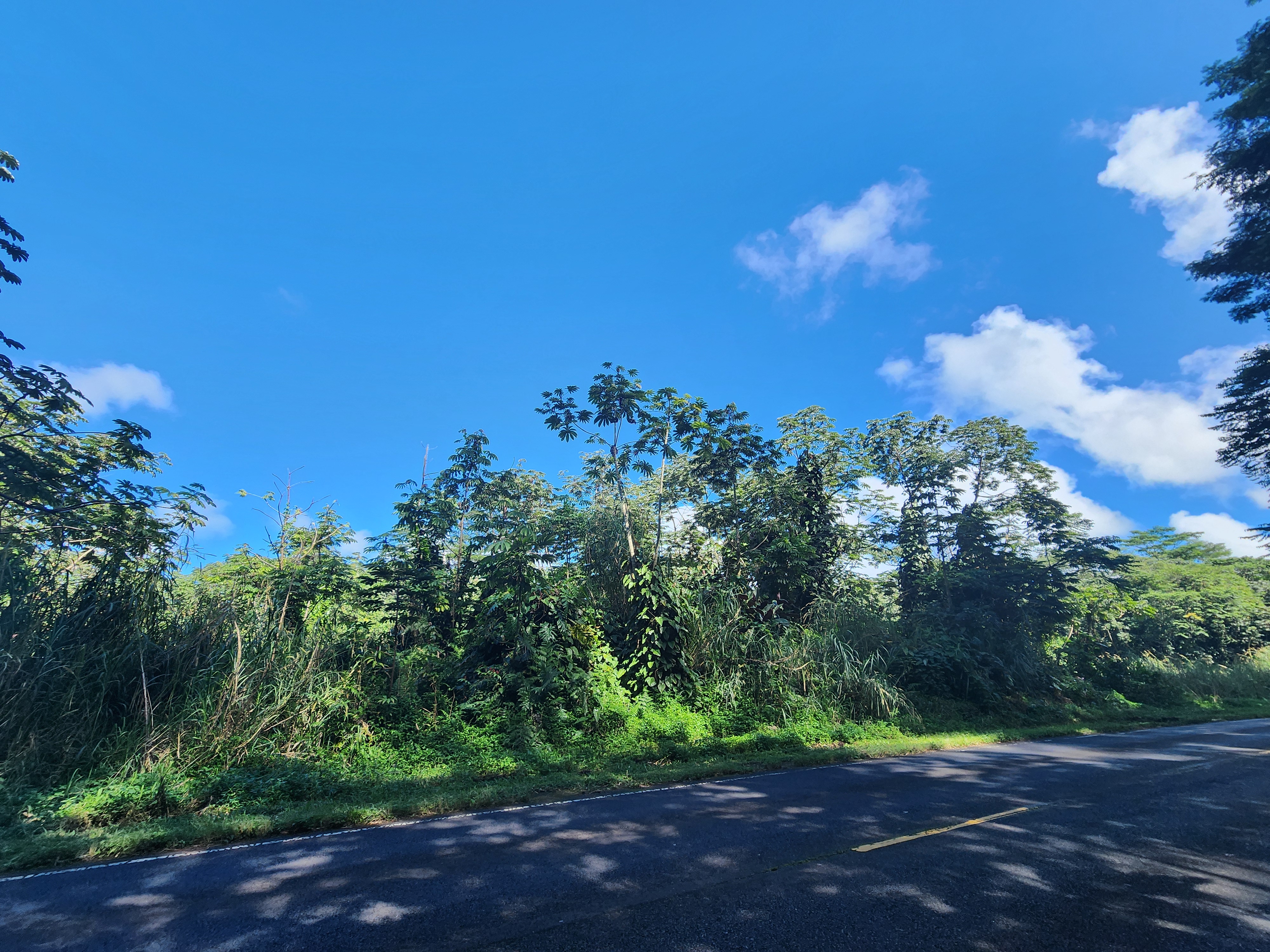 10 Pahoa Kapoho Road Pahoa, HI 96778 - Photo 7 of 12 a sunset view