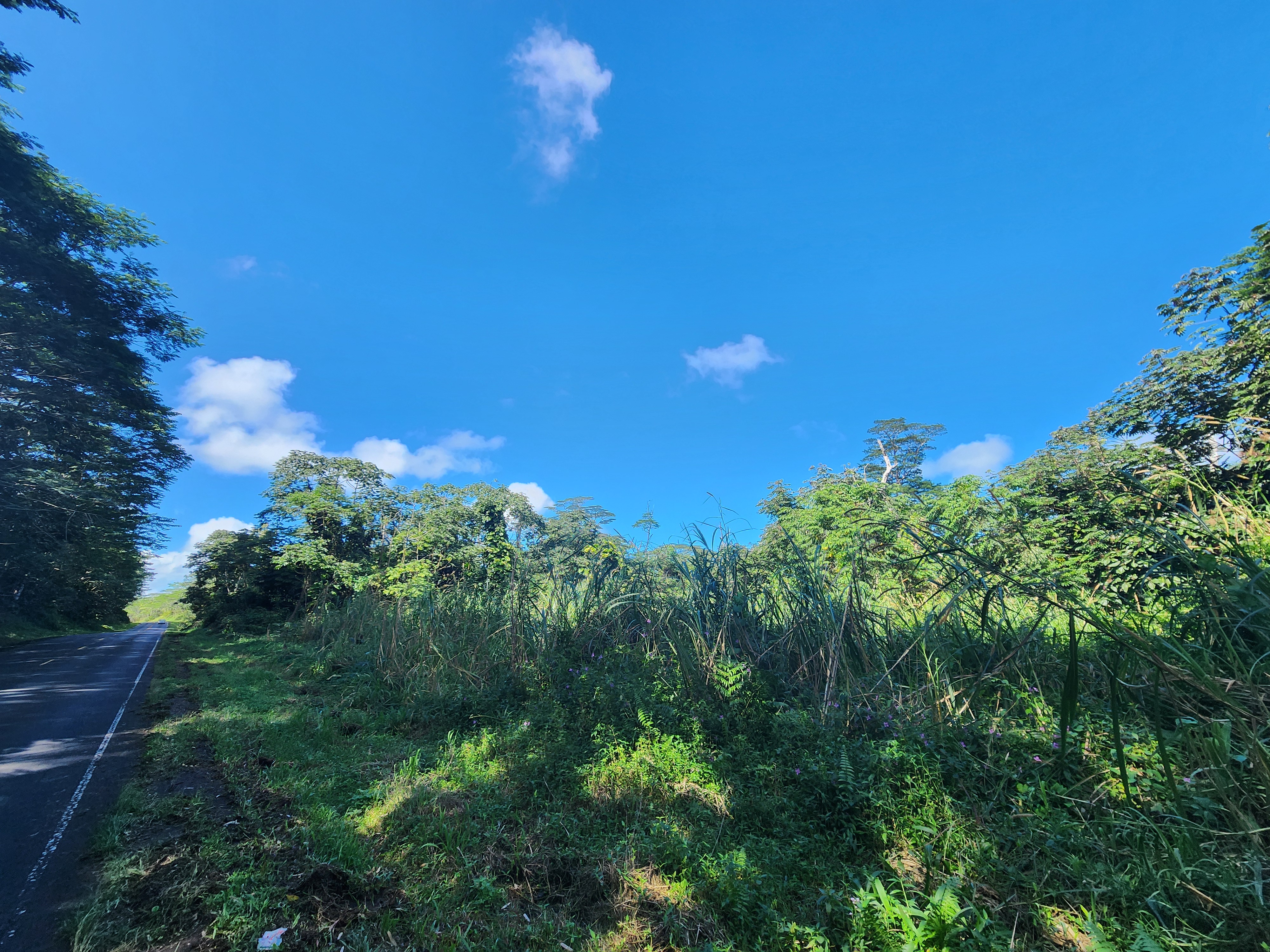 10 Pahoa Kapoho Road Pahoa, HI 96778 - Photo 10 of 12 a view of a green field