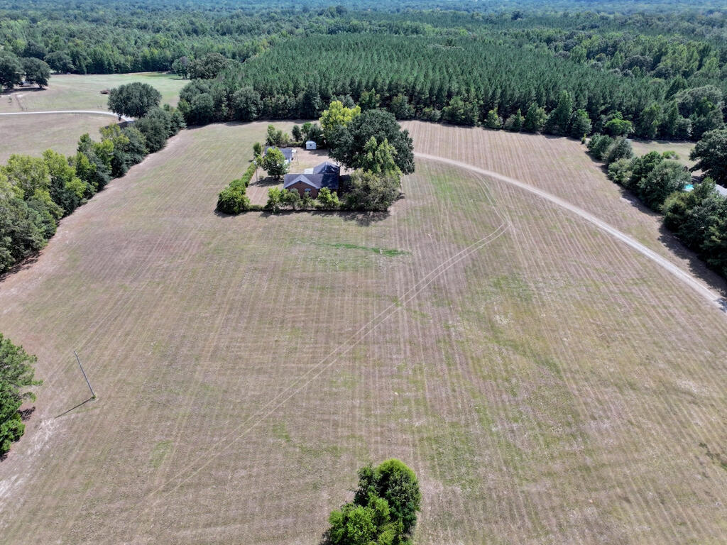 205 Padgetts Road Seale, AL 36875 - Photo 53 of 55 Acreage