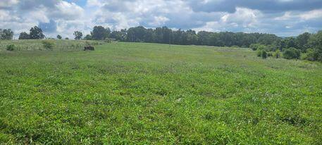 2069 Saltwell Road Owingsville, KY 40360 - Photo 3 of 6 363562967_6165941536866762_6202434276443