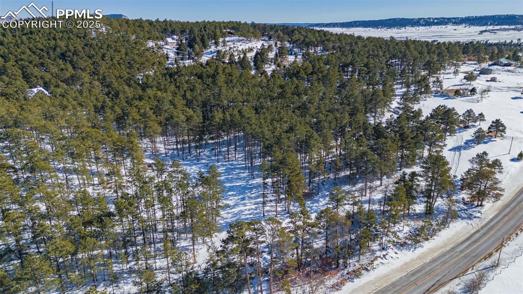 14420 South Perry Park Road Larkspur, CO 80118 - Photo 16 of 33