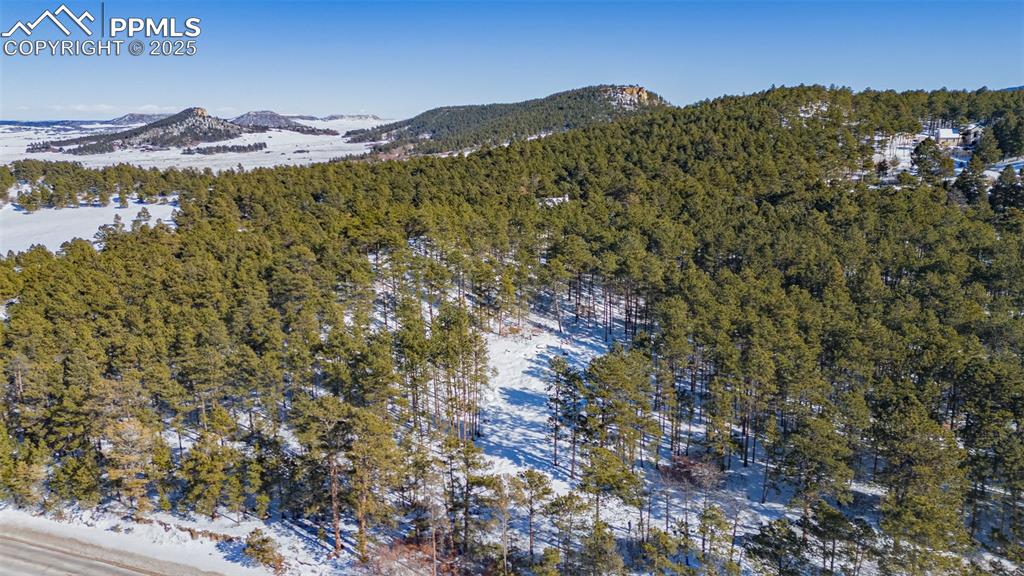 14420 South Perry Park Road Larkspur, CO 80118 - Photo 18 of 33