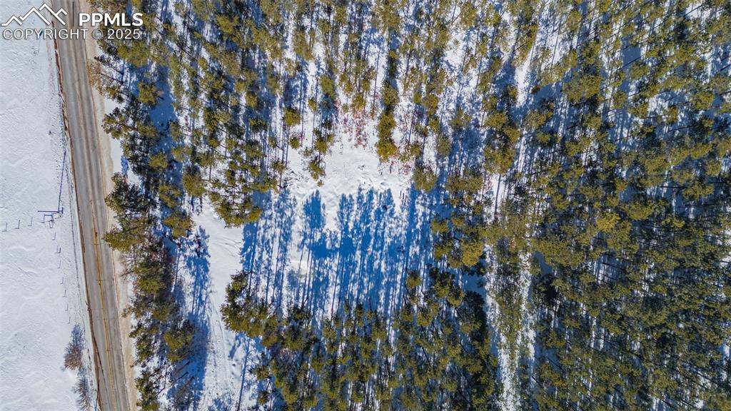 14420 South Perry Park Road Larkspur, CO 80118 - Photo 19 of 33