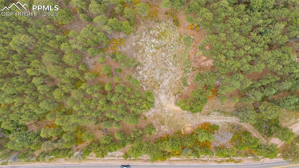 14420 South Perry Park Road Larkspur, CO 80118 - Photo 2 of 33