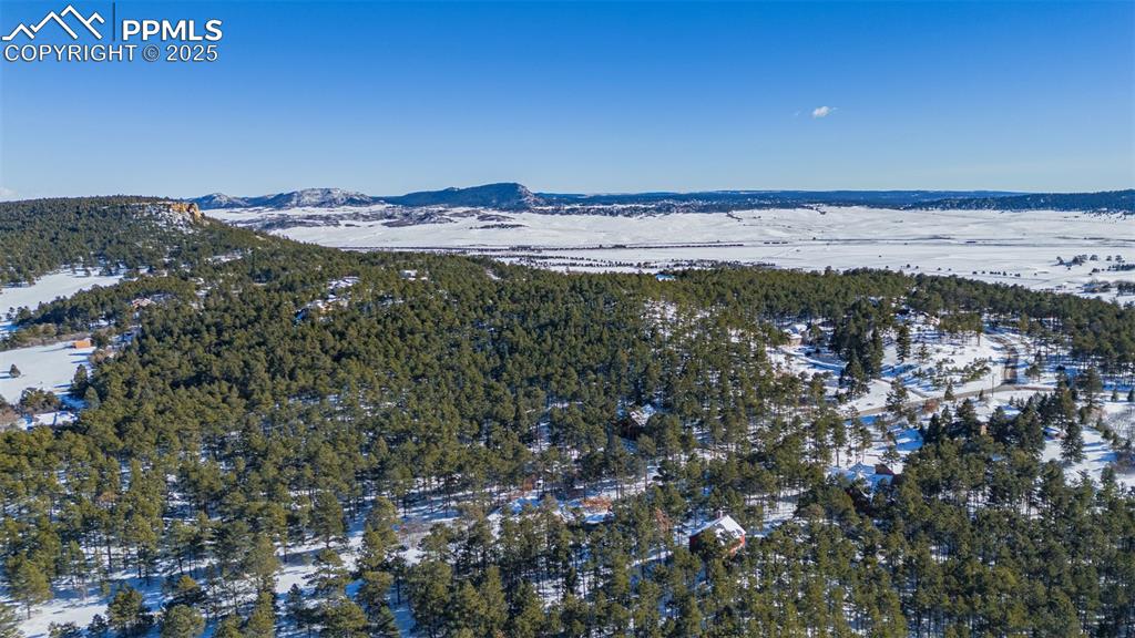 14420 South Perry Park Road Larkspur, CO 80118 - Photo 23 of 33