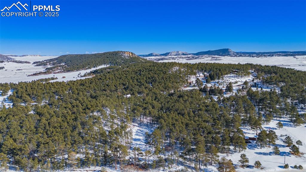 14420 South Perry Park Road Larkspur, CO 80118 - Photo 25 of 33