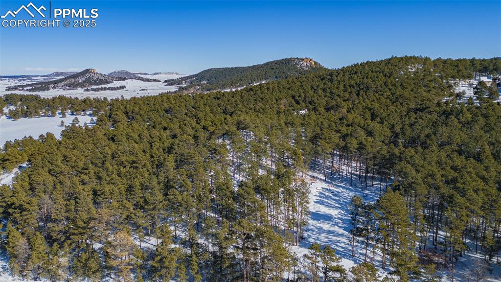 14420 South Perry Park Road Larkspur, CO 80118 - Photo 26 of 33