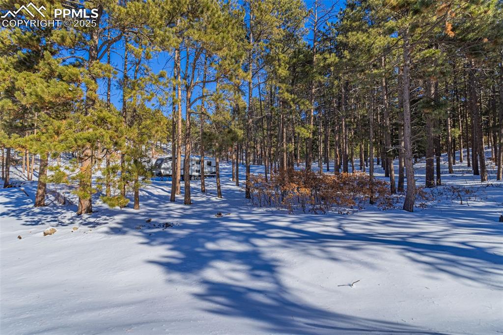 14420 South Perry Park Road Larkspur, CO 80118 - Photo 28 of 33