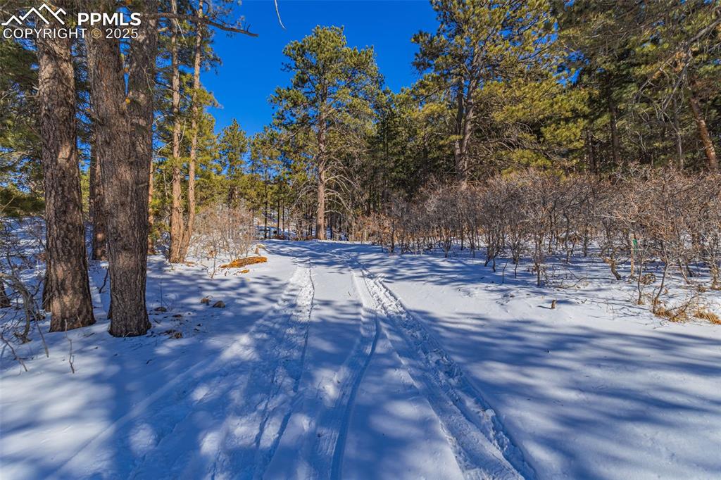 14420 South Perry Park Road Larkspur, CO 80118 - Photo 30 of 33