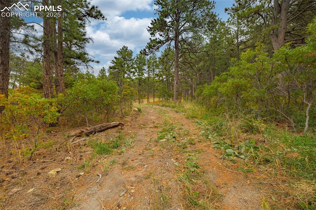 14420 South Perry Park Road Larkspur, CO 80118 - Photo 3 of 33