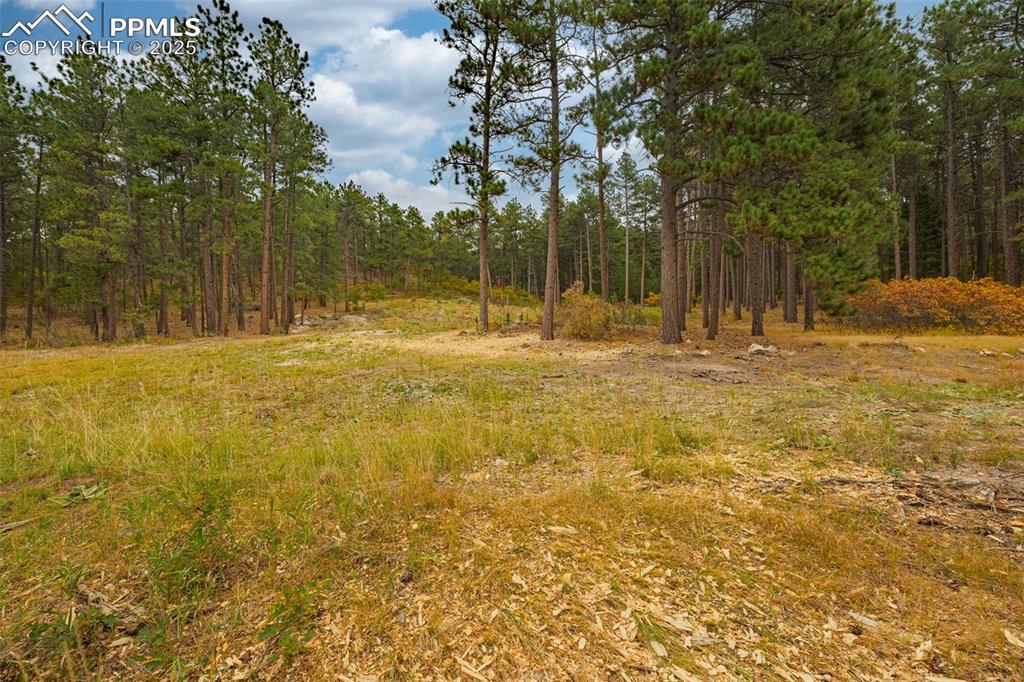 14420 South Perry Park Road Larkspur, CO 80118 - Photo 5 of 33