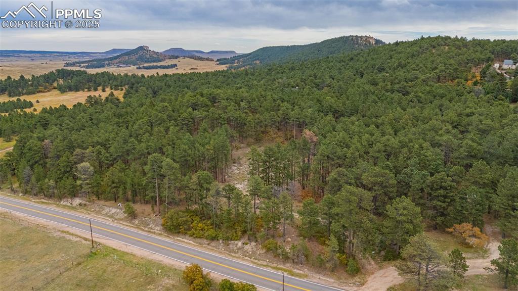 14420 South Perry Park Road Larkspur, CO 80118 - Photo 7 of 33