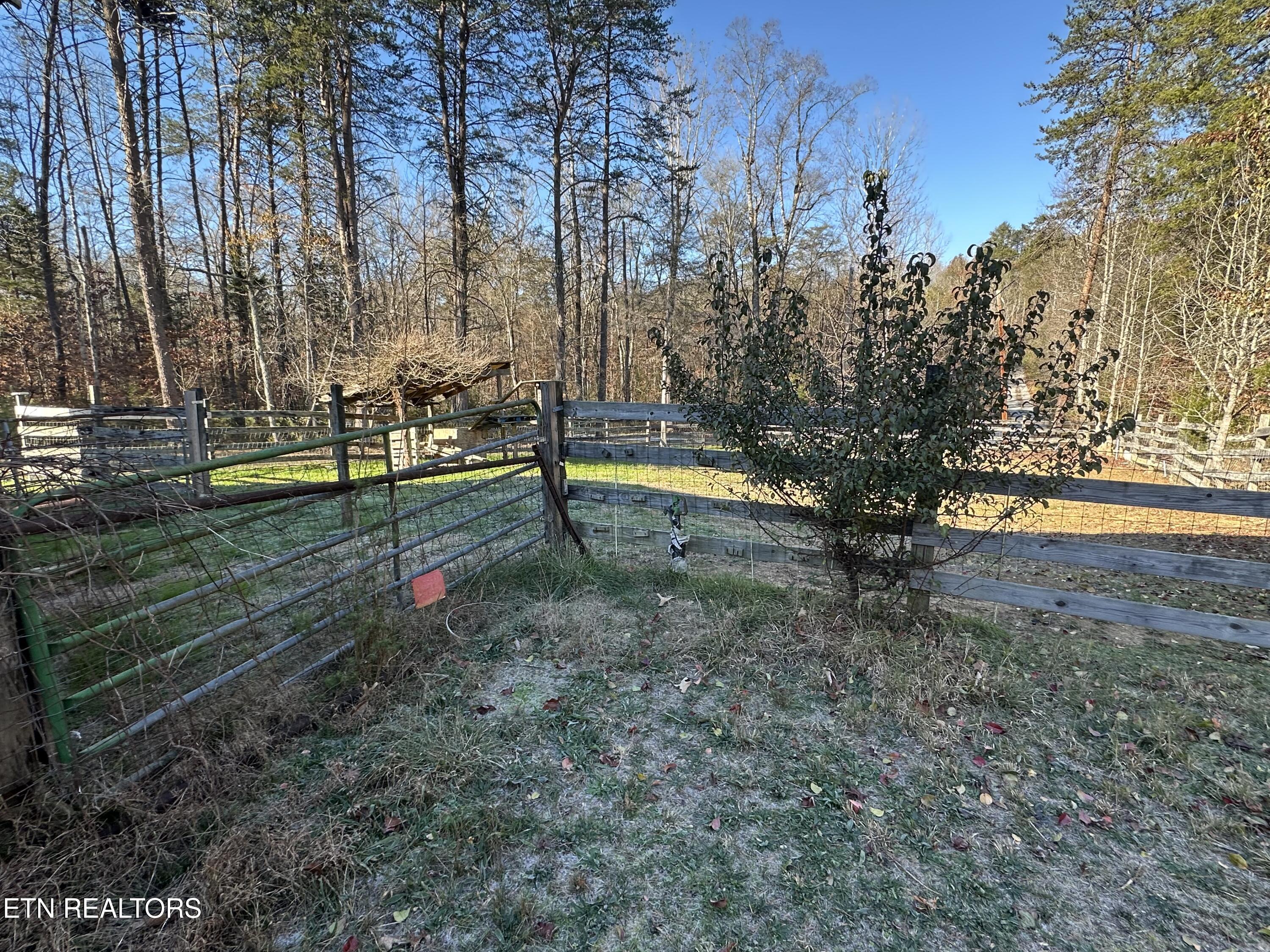 1275 Cove Road Kingston, TN 37763 - Photo 11 of 39 IMG_4950