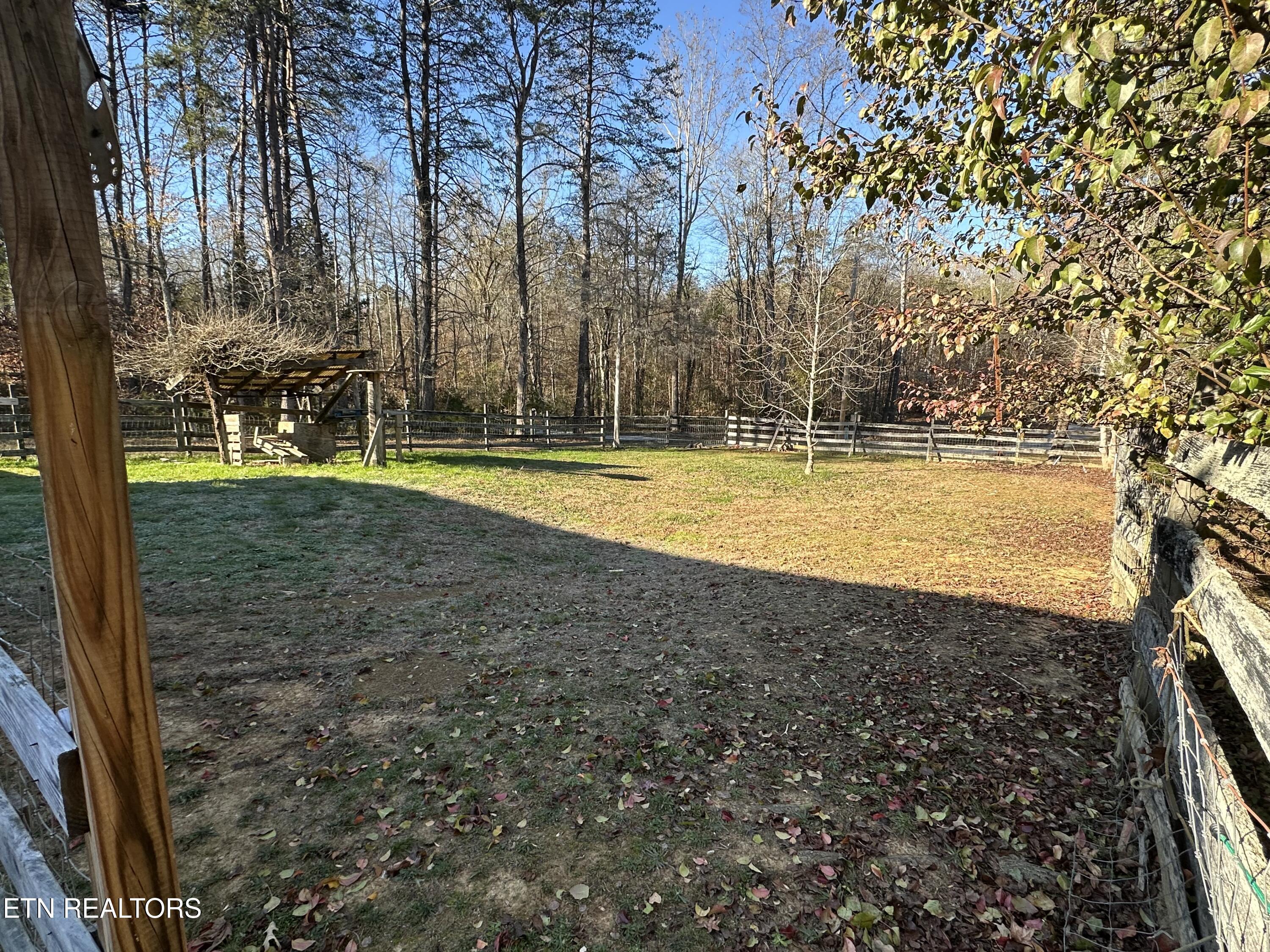 1275 Cove Road Kingston, TN 37763 - Photo 12 of 39 IMG_4951