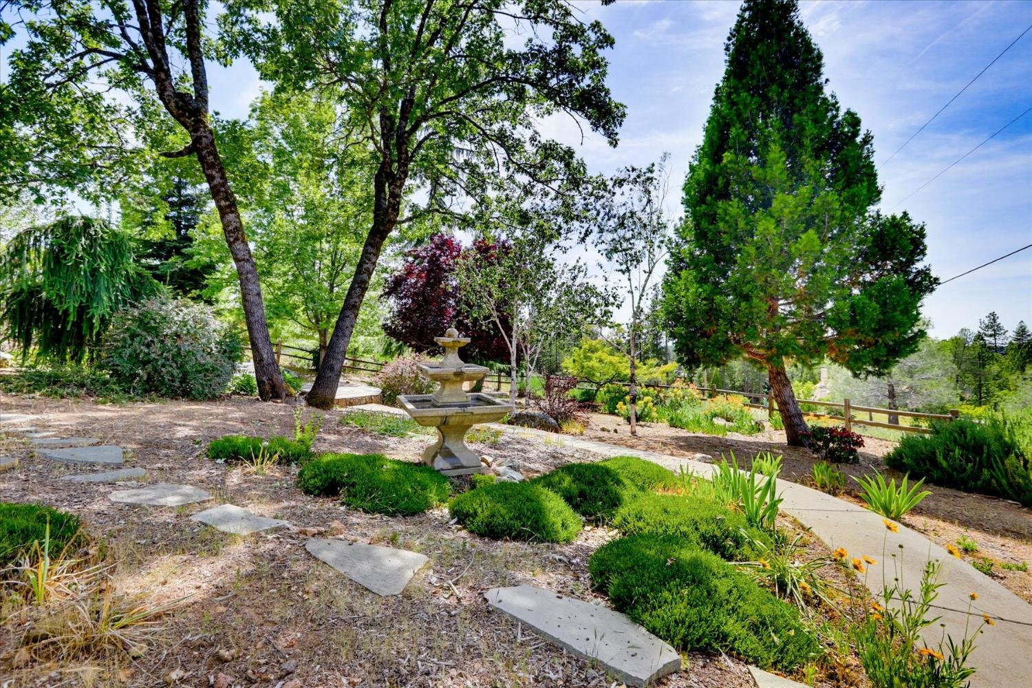 970 Morgan Ranch Drive Grass Valley, CA 95945 - Photo 57 of 76 a view of a park with plants and trees