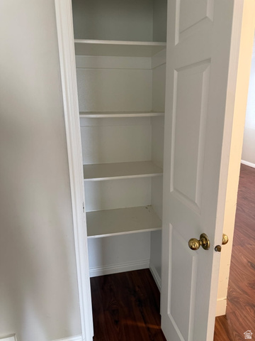 1563 South 600 East Springville, UT 84663 - Photo 7 of 30 Built-in storage closet featuring multiple white shelving units, a white paneled door with brass-tone hardware, and dark wood-finish flooring