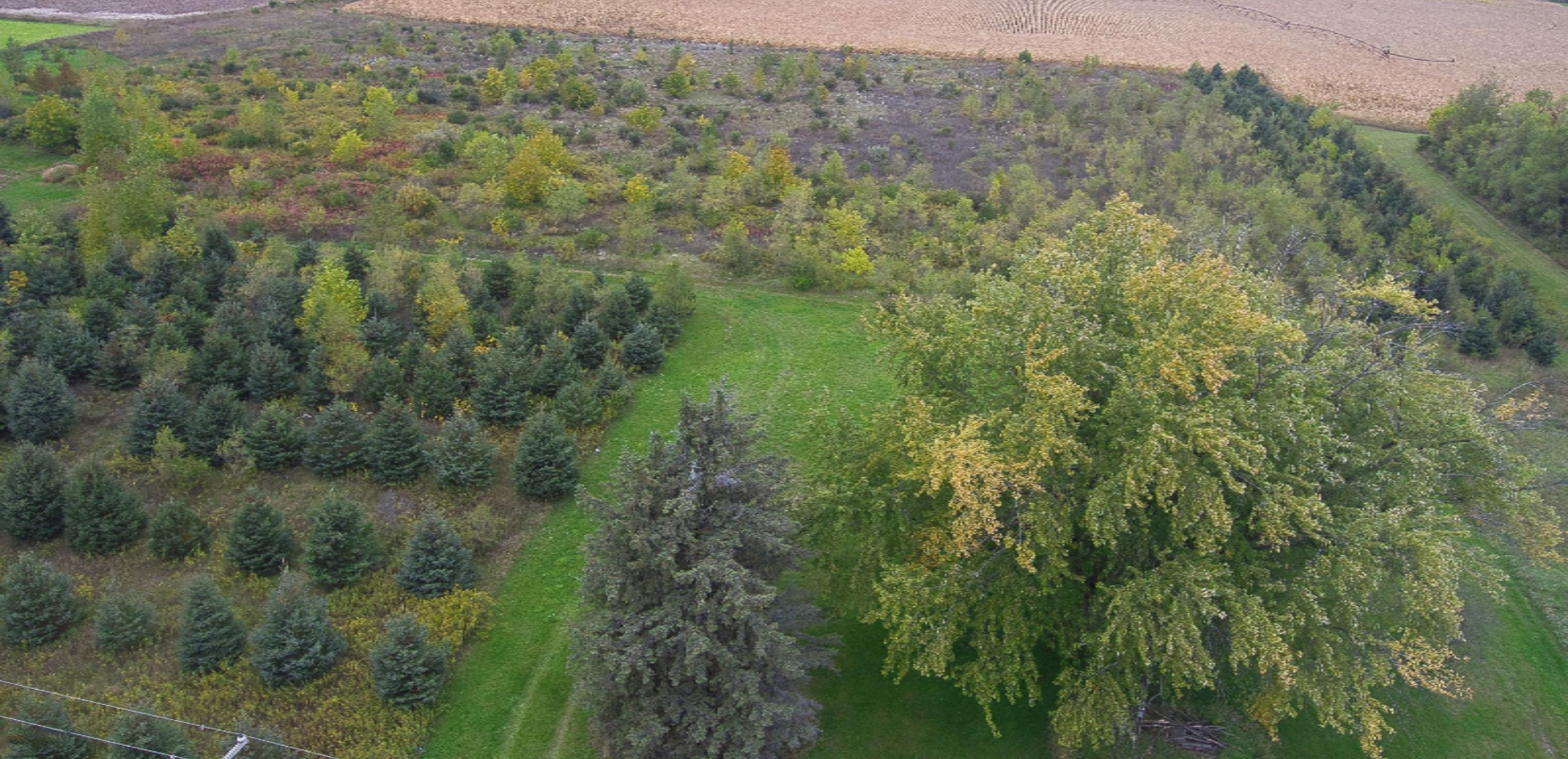 1228 9 Mile Road Remus, MI 49340 - Photo 13 of 16 Simon 8
