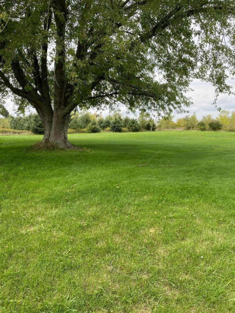 1228 9 Mile Road Remus, MI 49340 - Photo 4 of 16 1