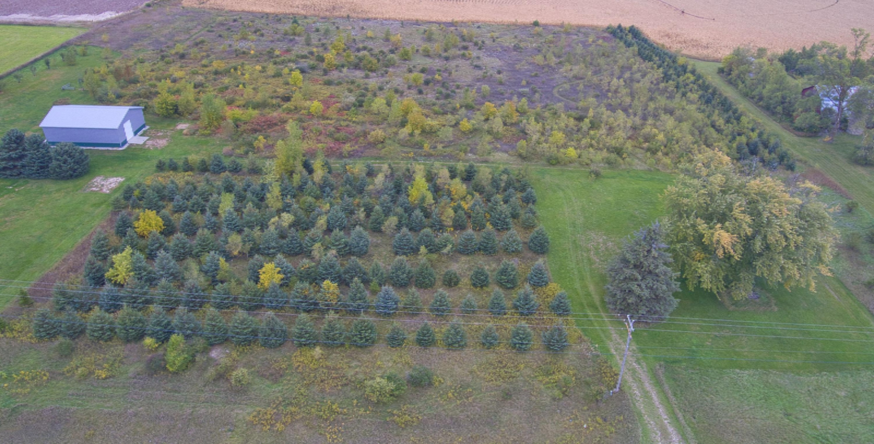 1228 9 Mile Road Remus, MI 49340 - Photo 5 of 16 Simon 11