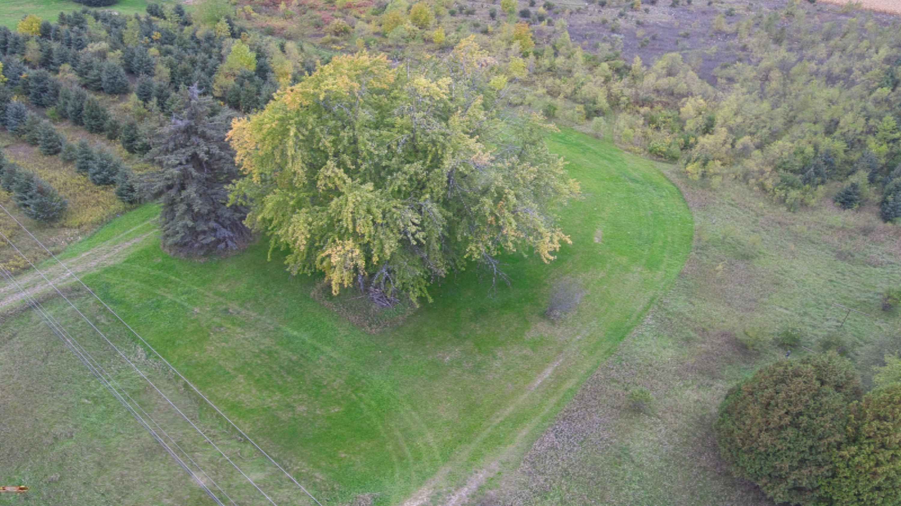 1228 9 Mile Road Remus, MI 49340 - Photo 6 of 16 Simon 1