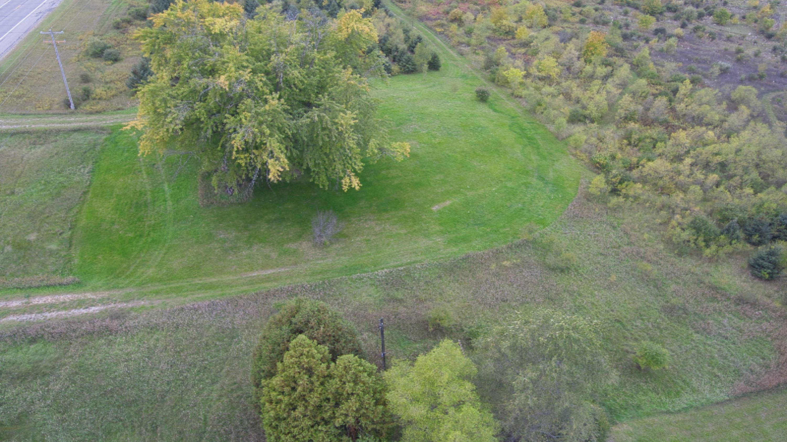 1228 9 Mile Road Remus, MI 49340 - Photo 7 of 16 Simon 2