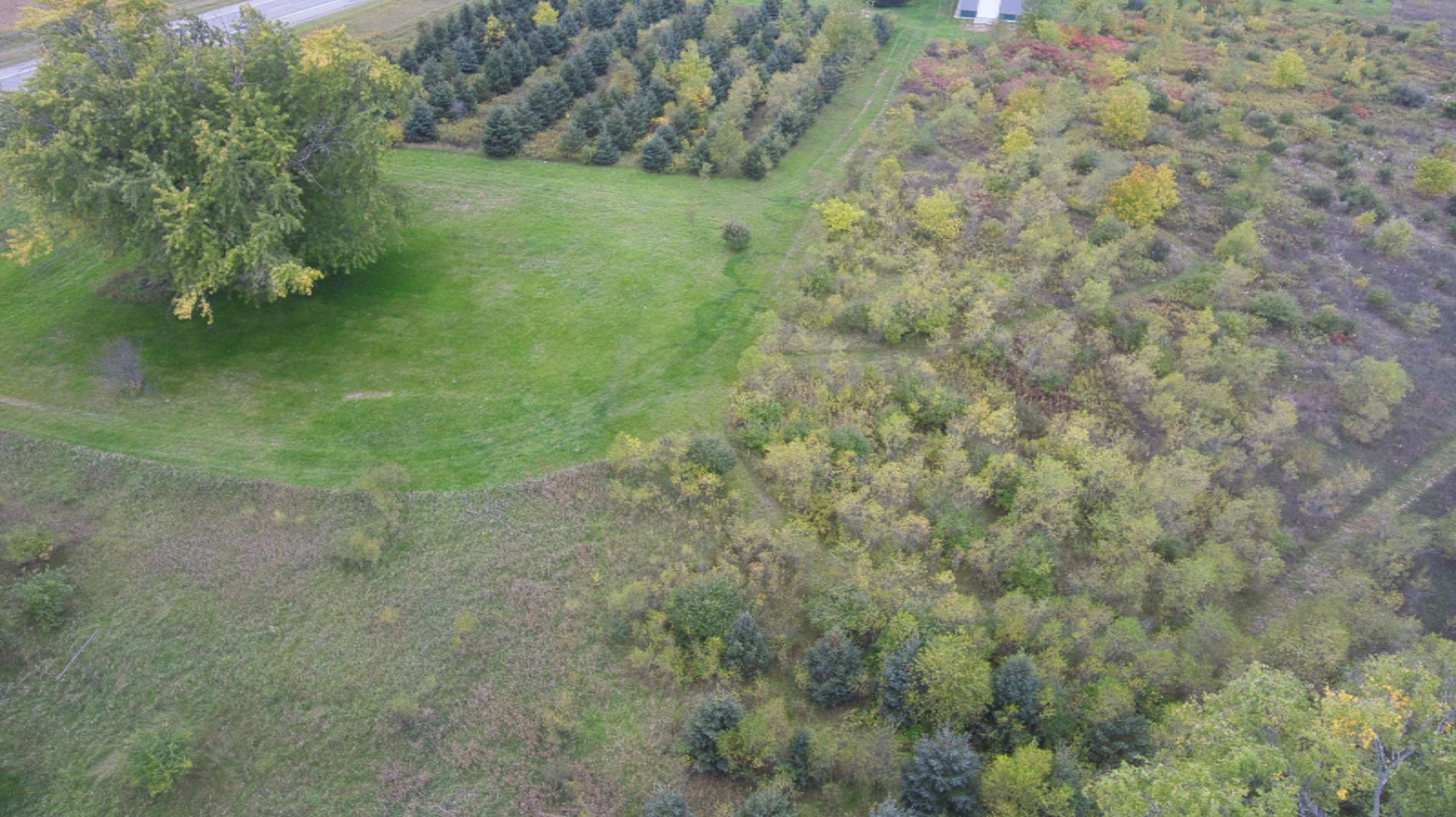 1228 9 Mile Road Remus, MI 49340 - Photo 8 of 16 Simon 3