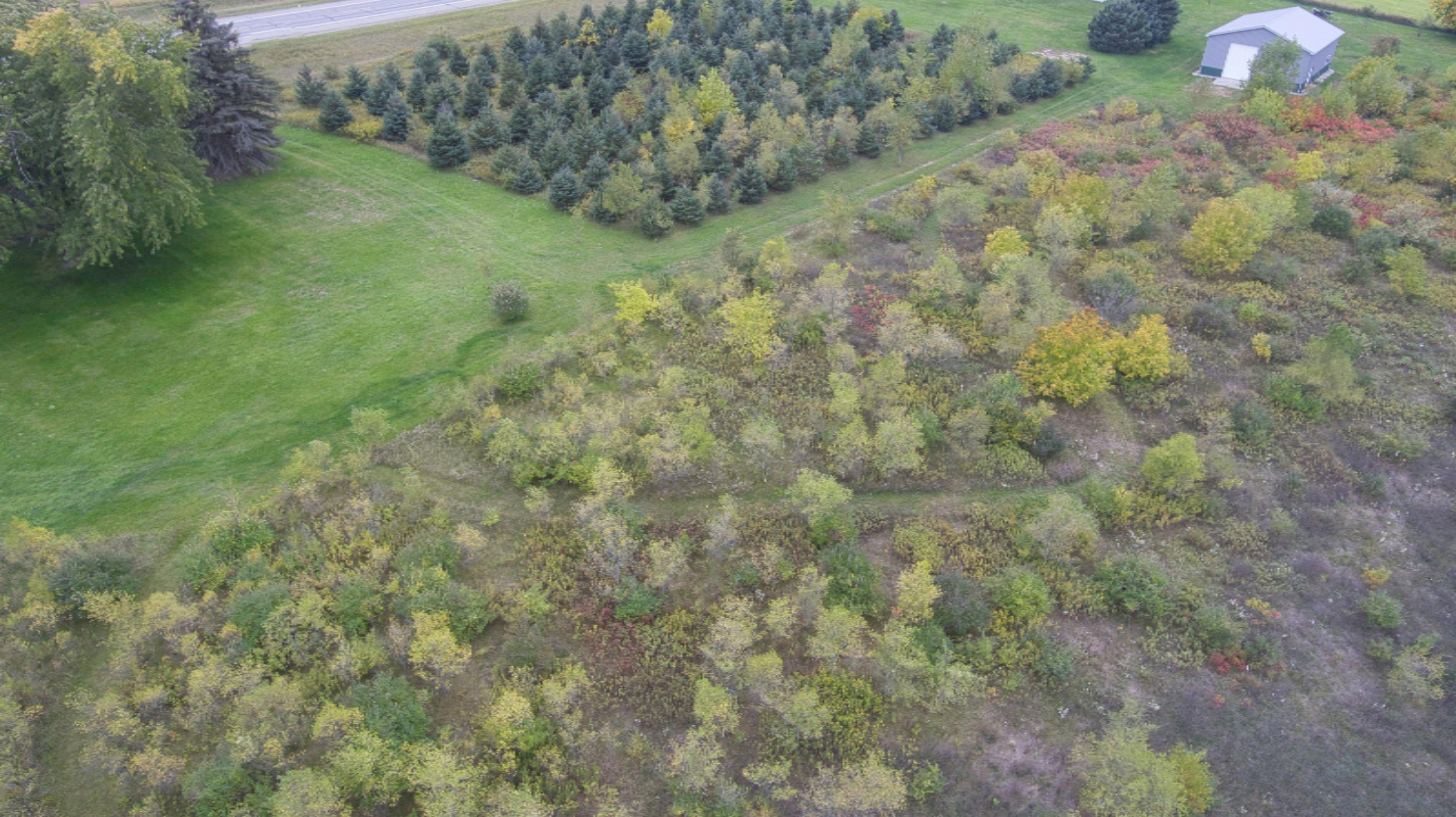 1228 9 Mile Road Remus, MI 49340 - Photo 9 of 16 Simon 4