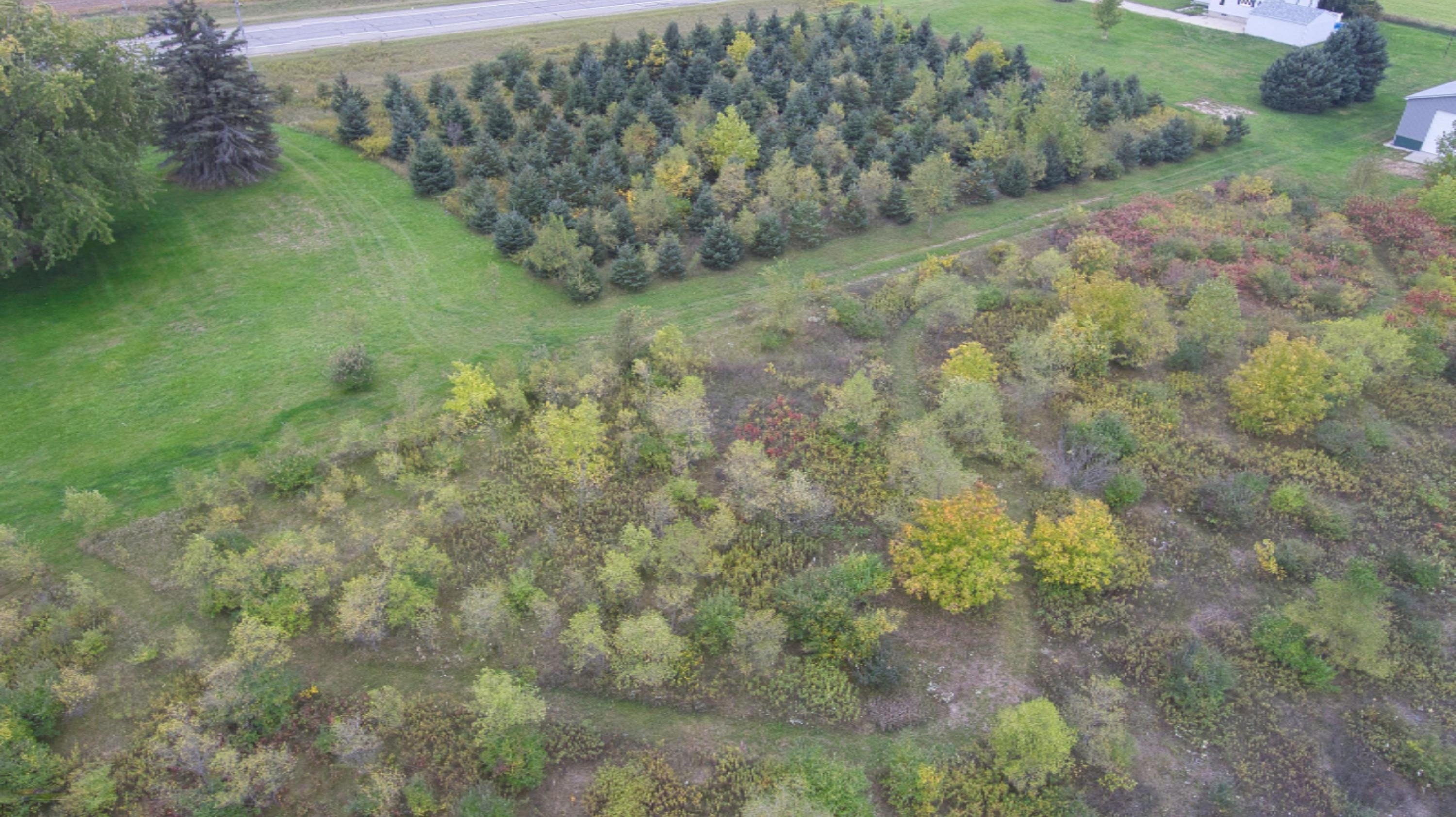 1228 9 Mile Road Remus, MI 49340 - Photo 10 of 16 Simon 5
