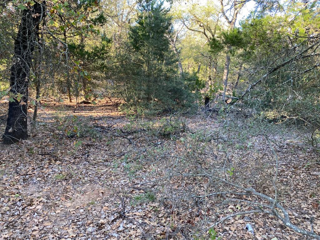 8315 Burleson Manor Road, Unit A Manor, TX 78653 - Photo 20 of 21 a view of a forest with trees