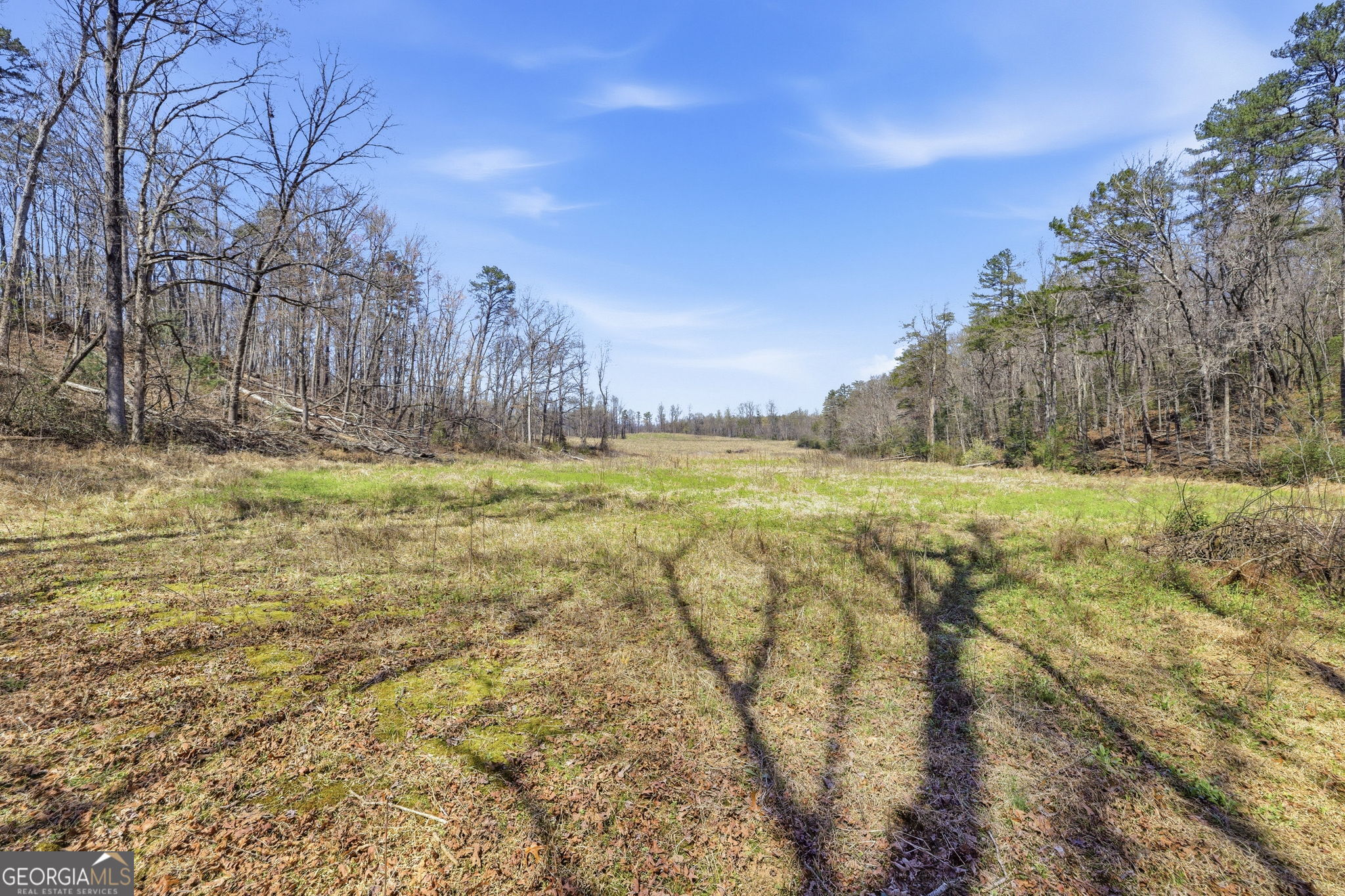 4034 Piedmont Orchard Road Clarkesville, GA 30523 - Photo 14 of 75