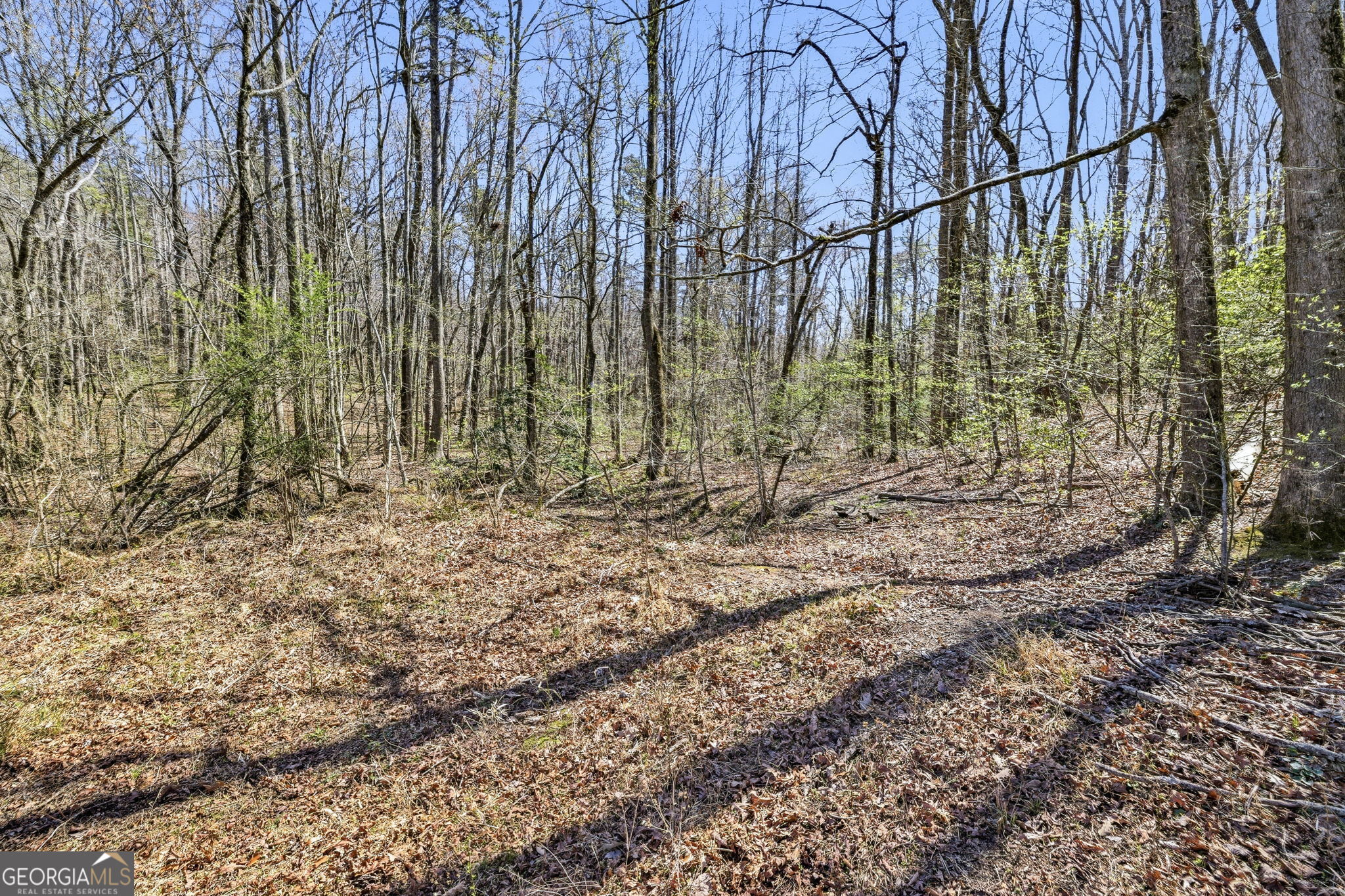 4034 Piedmont Orchard Road Clarkesville, GA 30523 - Photo 15 of 75