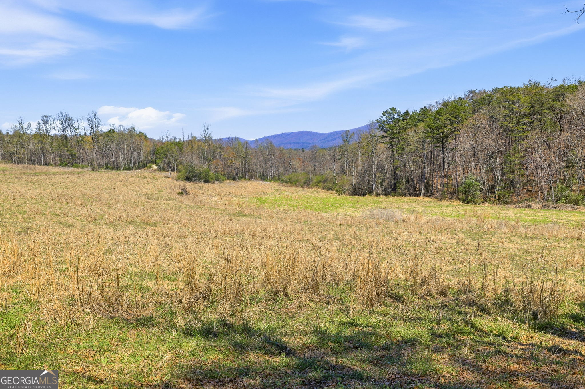 4034 Piedmont Orchard Road Clarkesville, GA 30523 - Photo 16 of 75