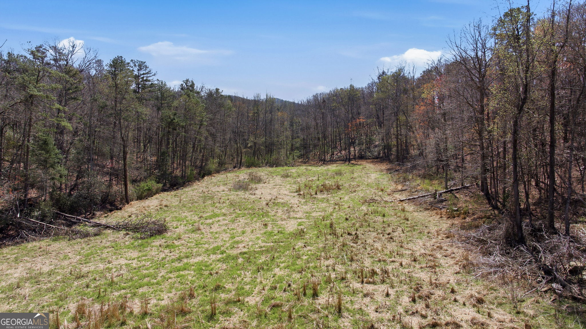 4034 Piedmont Orchard Road Clarkesville, GA 30523 - Photo 18 of 75