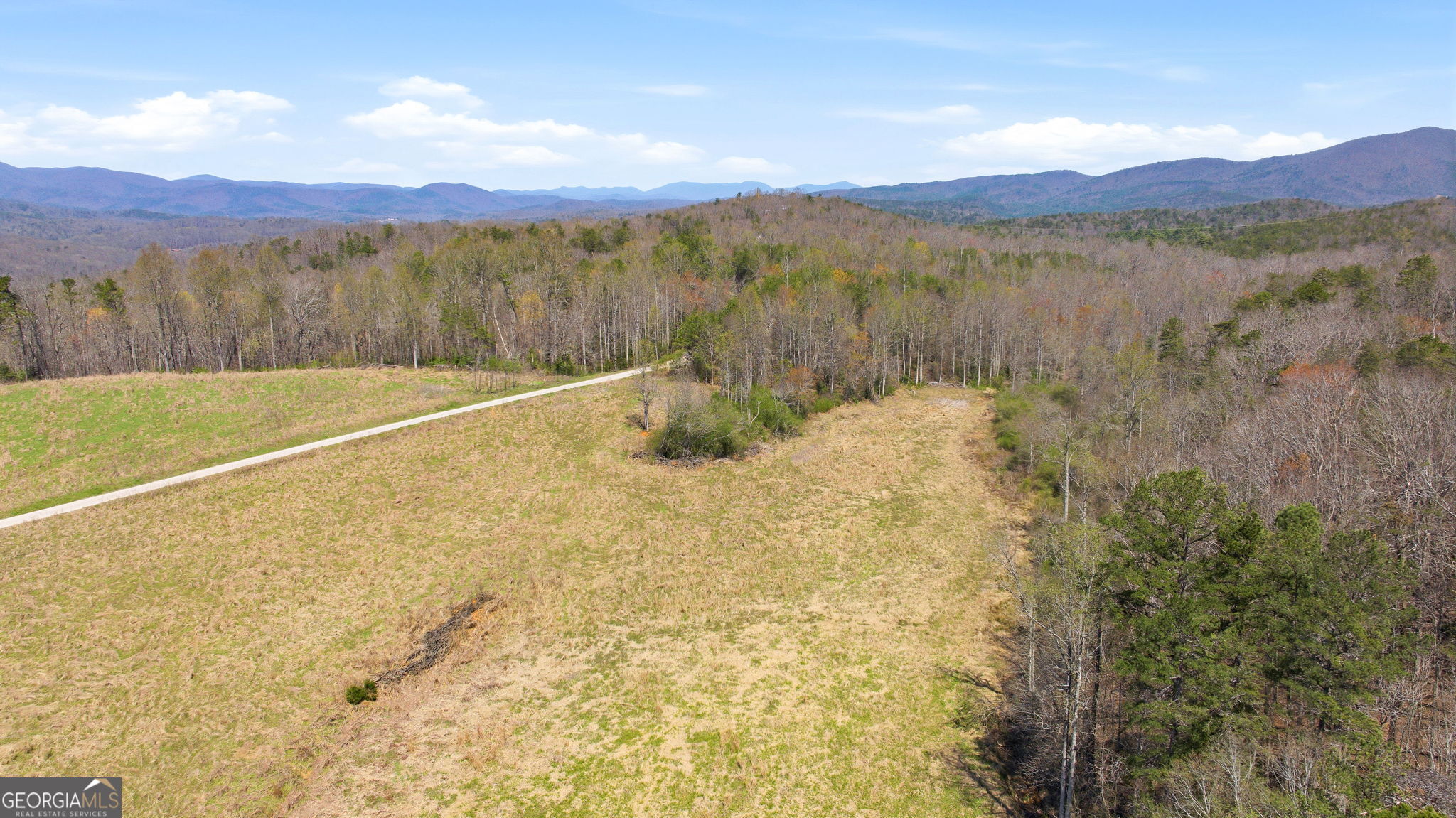 4034 Piedmont Orchard Road Clarkesville, GA 30523 - Photo 22 of 75
