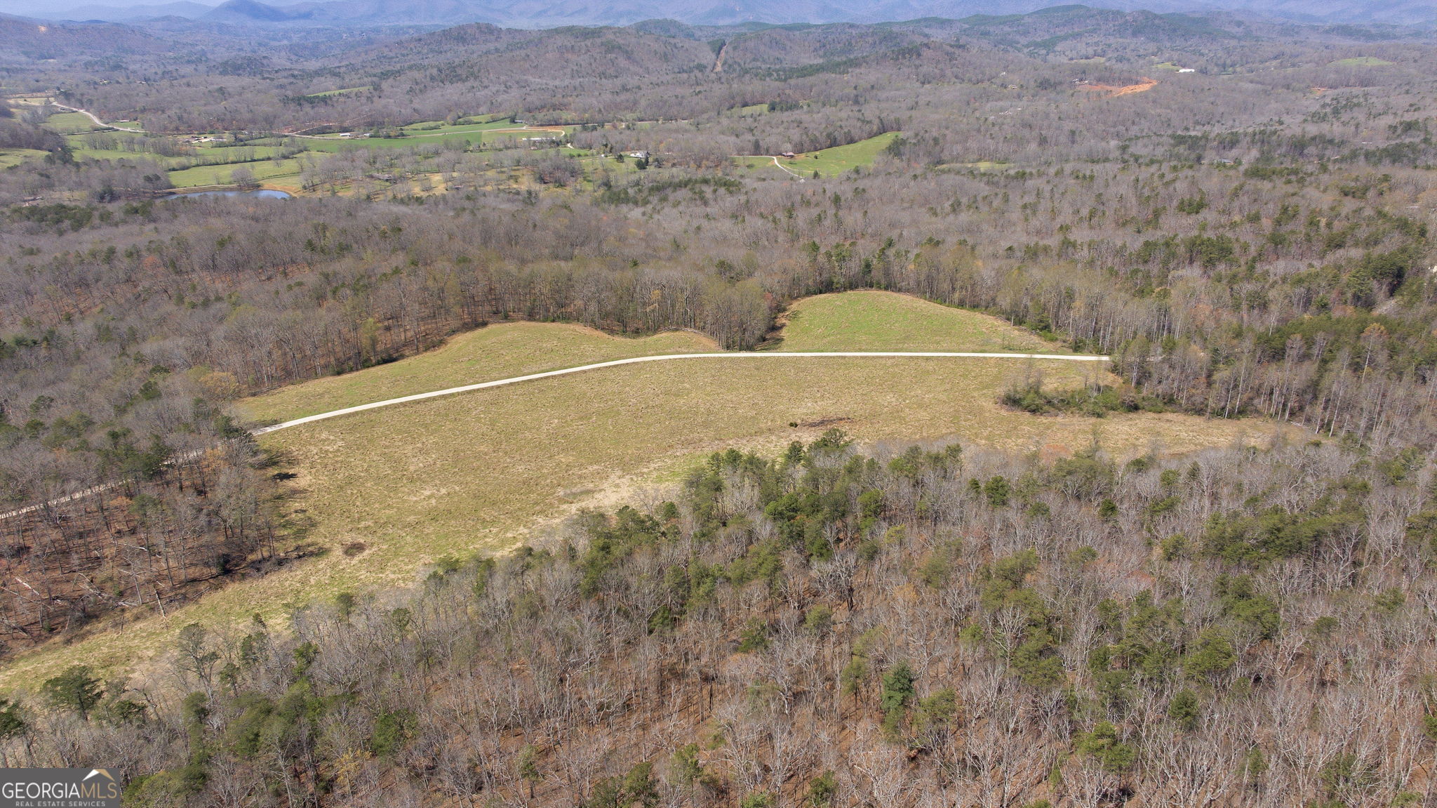 4034 Piedmont Orchard Road Clarkesville, GA 30523 - Photo 27 of 75