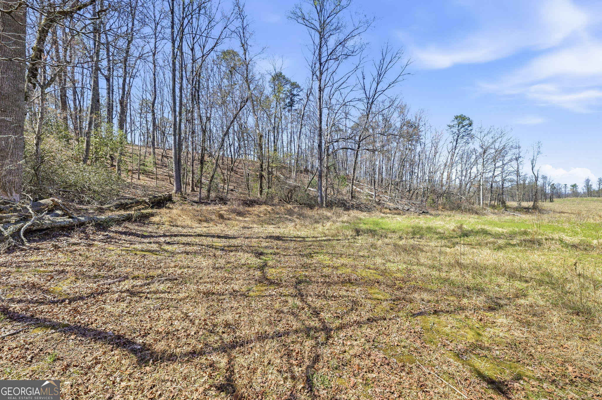 4034 Piedmont Orchard Road Clarkesville, GA 30523 - Photo 4 of 75