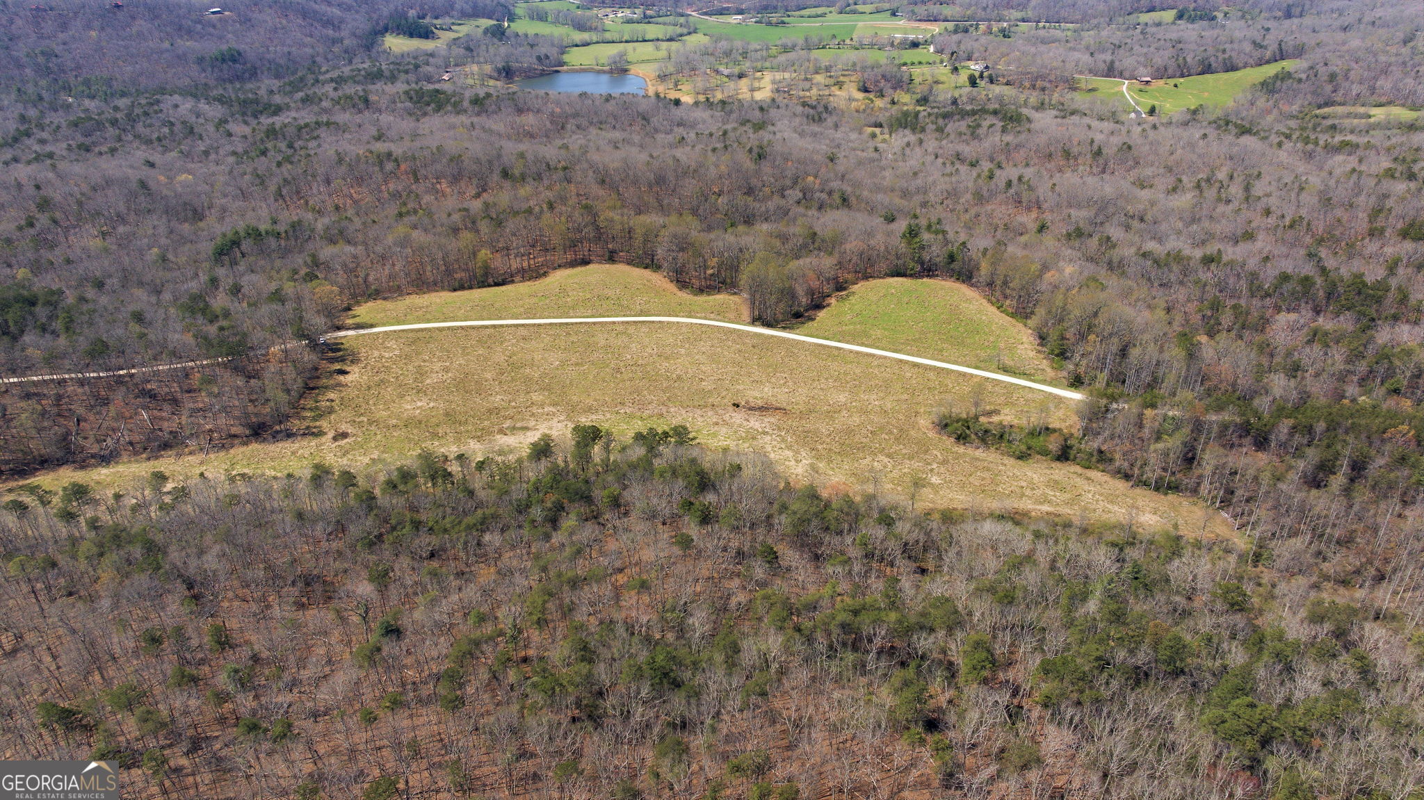 4034 Piedmont Orchard Road Clarkesville, GA 30523 - Photo 41 of 75